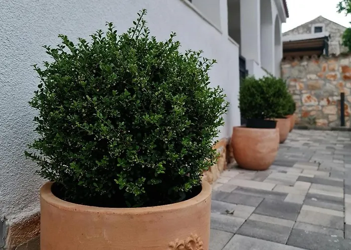 Apartman For 3,peaceful And Cosy